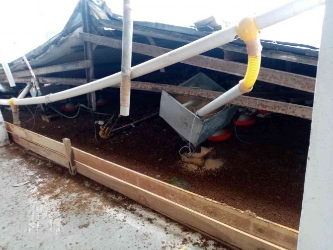 Kara Dayanamayan Çiftlik Çatısı Çöktü: 18 Bine Yakın Tavuk Telef Oldu