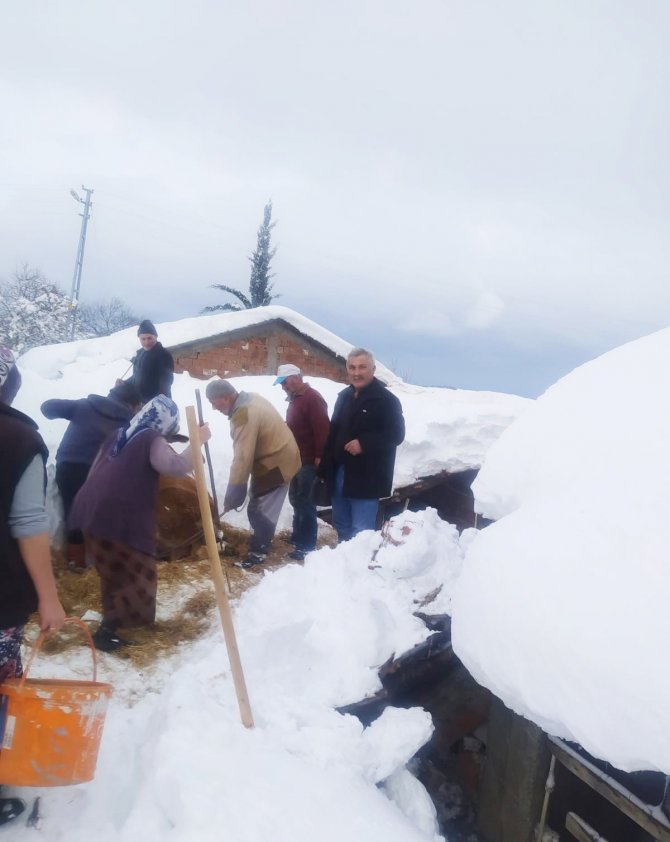 Mahsur Kalan Hayvanları İtfaiye Kurtardı