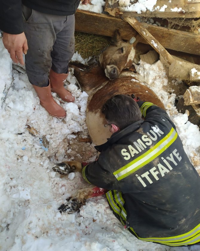 Mahsur Kalan Hayvanları İtfaiye Kurtardı