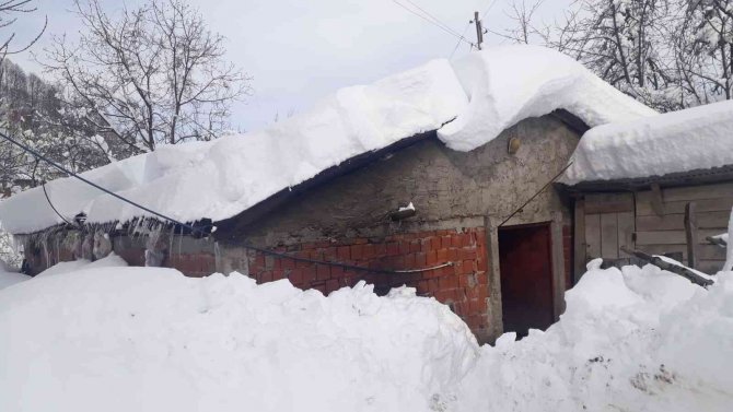 Salıpazarı’nda Ahır Çökmesi Sonucu Hayvanlar Telef Oldu