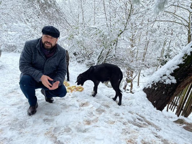 Balıkesir’de Sokak Ve Yaban Hayvanları Beslendi