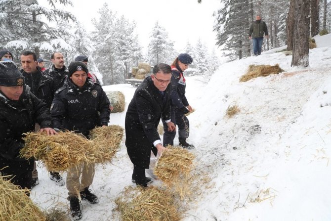 Tokat’ta Yaban Hayvanları Unutulmadı