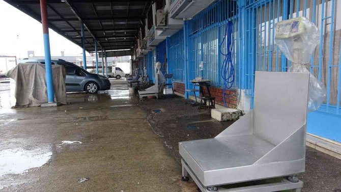 Hamsi Bu Kez De Kara Takıldı