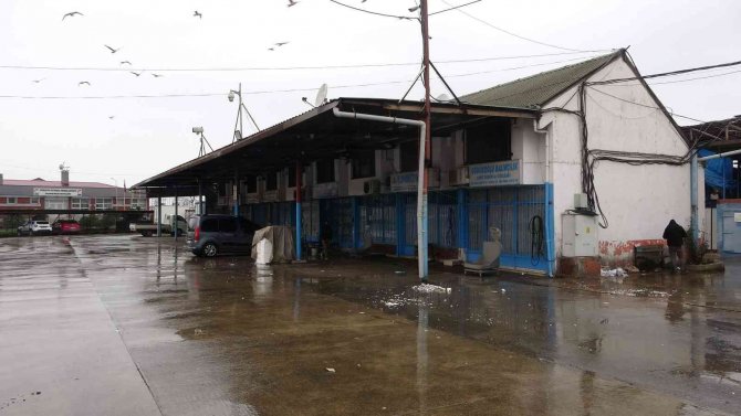 Hamsi Bu Kez De Kara Takıldı