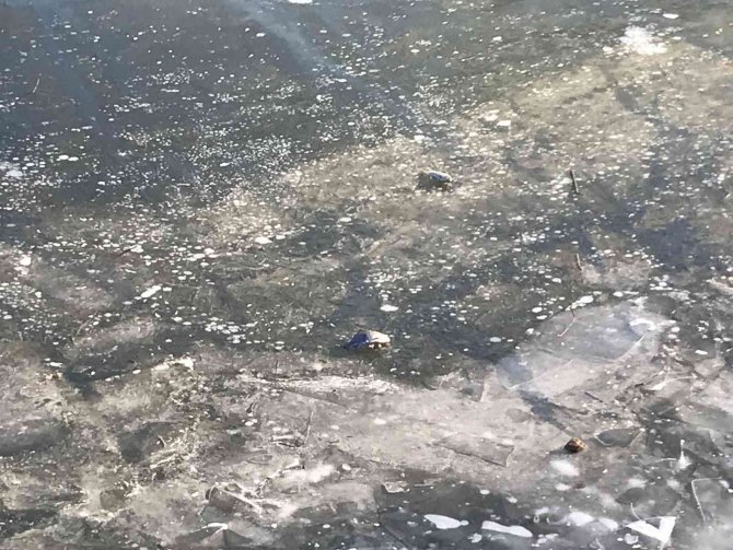 Edirne’de Nehirle Birlikte Çöpler De Buz Tuttu