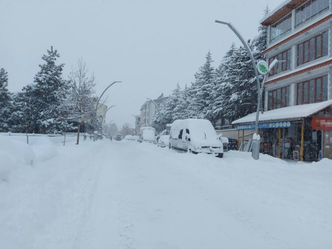Tunceli’de 290 Köy Yolu Ulaşıma Kapandı