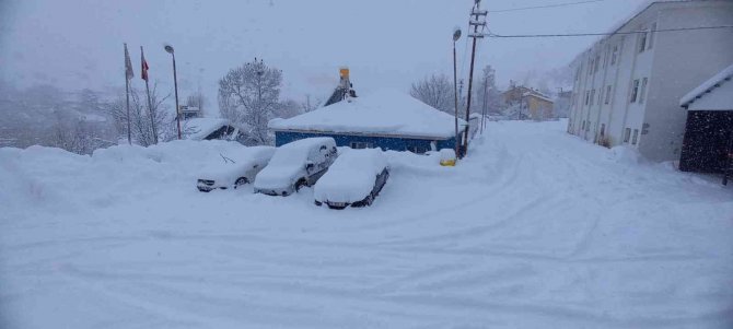 Tunceli’de 290 Köy Yolu Ulaşıma Kapandı