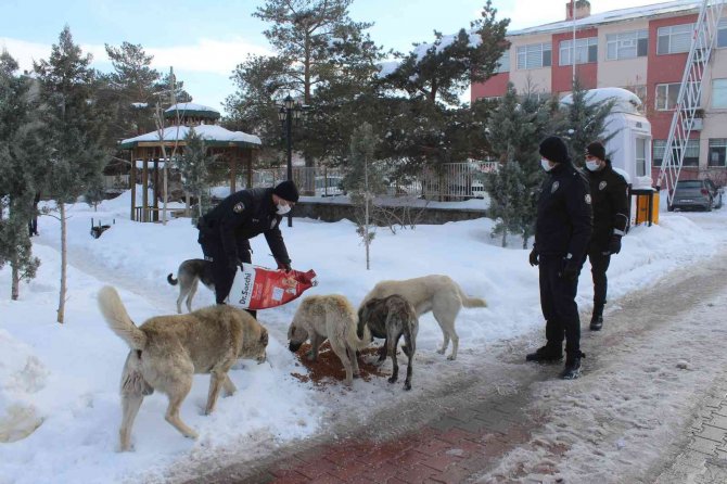 Polis Ekiplerinden Sokak Hayvanlarına Şefkat Eli