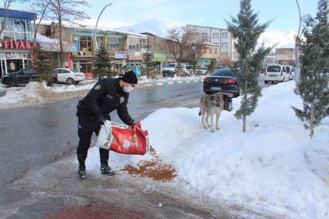 Polis Ekiplerinden Sokak Hayvanlarına Şefkat Eli