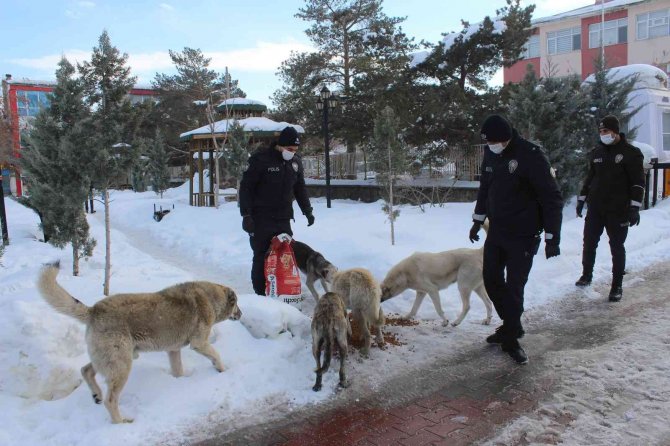 Polis Ekiplerinden Sokak Hayvanlarına Şefkat Eli