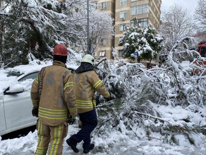 Kadıköy’de Yoğun Kara Dayanamayan Ağaç, Park Halindeki Otomobilin Üstüne Devrildi