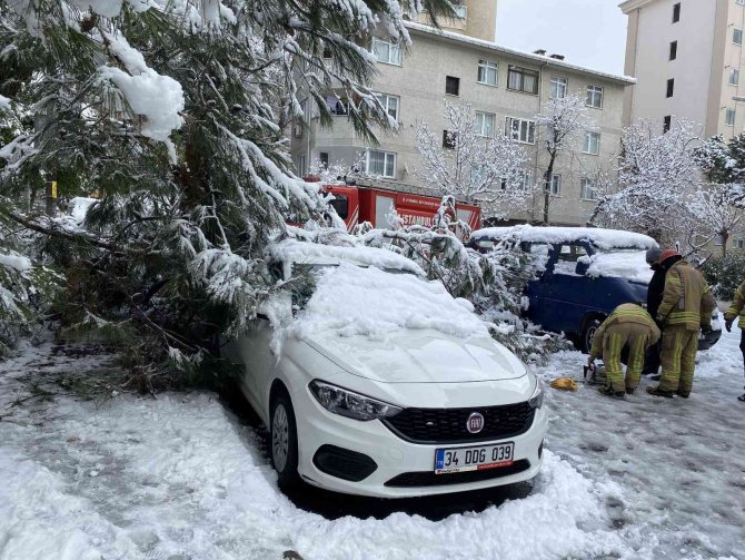 Kadıköy’de Yoğun Kara Dayanamayan Ağaç, Park Halindeki Otomobilin Üstüne Devrildi
