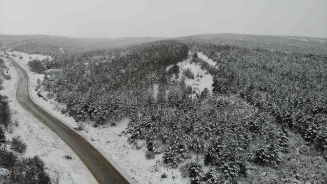 Eskişehir Kent Ormanı’ndan Doyumsuz Kış Manzaraları