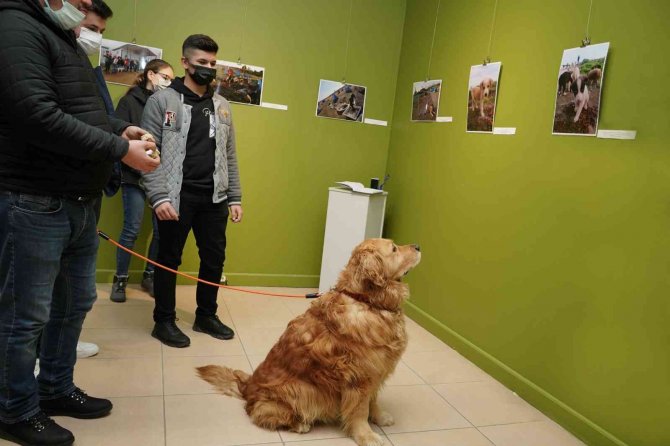 Ayvalık’ta “Çöplüğün Altın Çocukları” İlgi Gördü