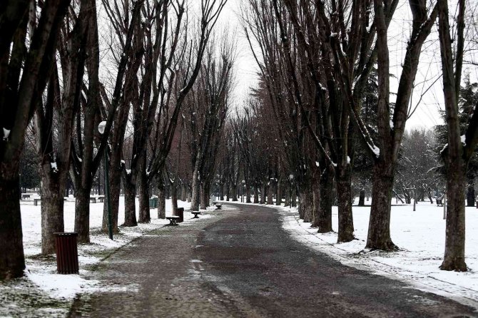 Yazın Dolup Taşan Botanik Park, Kar Yağınca Hayvanlara Kaldı