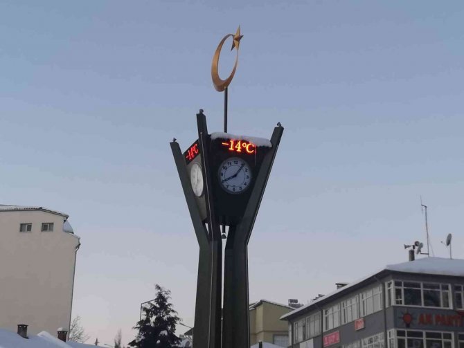 Sibirya Soğuğu Çameli’yi Etkisi Altına Aldı