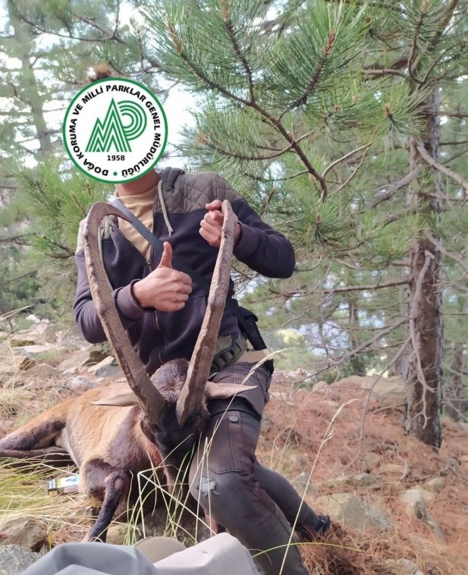 Avcılar Yaban Keçilerini Vurduklarına Pişman Oldu