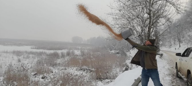 Yaban Hayvanları İçin Seferber Oldular