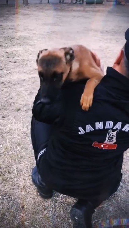 Jandarmanın Görev Köpekleri Eğitimlerine Devam Ediyor