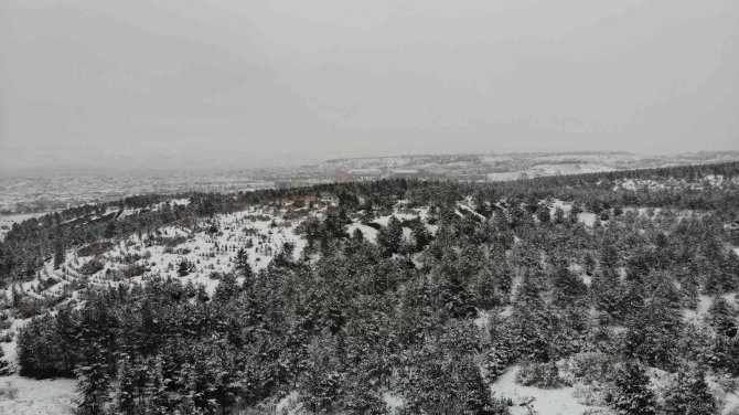 Eskişehir Kent Ormanı’ndan Doyumsuz Kış Manzaraları