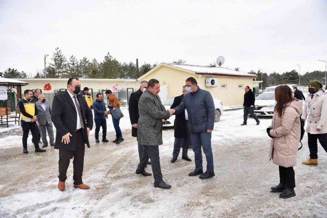 Soğuk Kış Gününde Sokak Kedilerine Sıcak Yuva