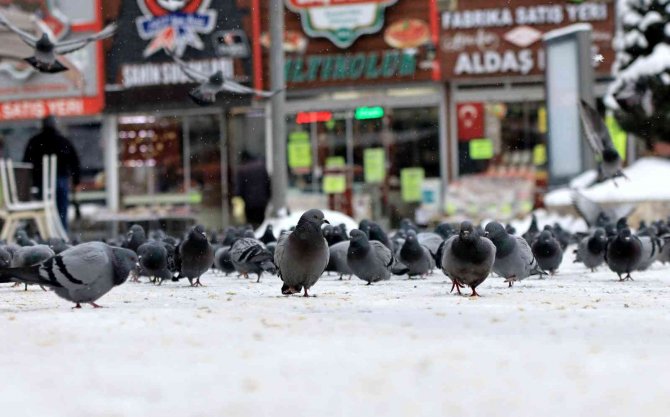 Kar, Kayseri’ye Çok Yakıştı