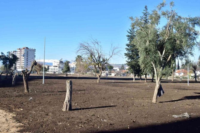 Ay Deresi’nde Çevre Düzenleme Çalışması