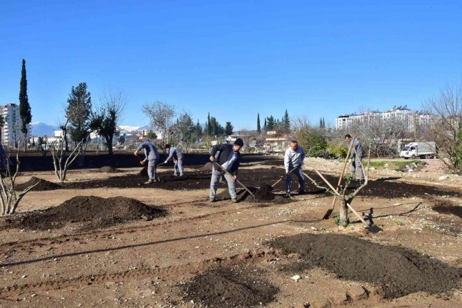 Ay Deresi’nde Çevre Düzenleme Çalışması