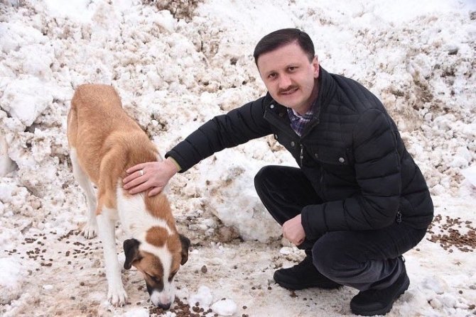 Açtıkları Yola Mama Bırakmayı İhmal Etmiyorlar