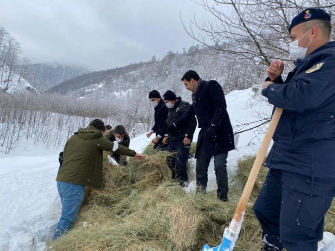 Trabzon’da Yaban Hayvanları Unutulmadı