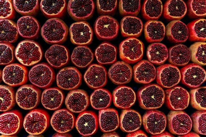 Ege Bölgesi, Türkiye İhracat Şampiyonu Oldu