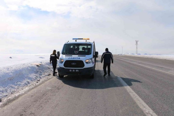 Erciş’te Sokak Hayvanları Unutulmadı