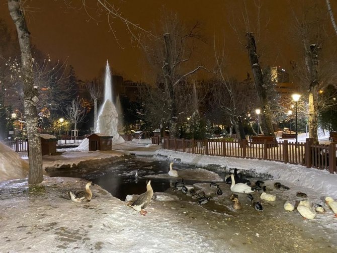 Ankara’nın Simge Yeri Olan Kuğulu Park Havuzunda Bulunan Fıskiyelerden Çıkan Suyun Donması Sonucu 4 Metre Uzunluğunda Buz Kütleleri Oluştu