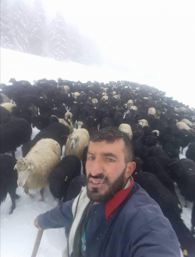 Kar Bastırınca Tek Sıra Halinde Metrelerce Sahiplerini Takip Ettiler