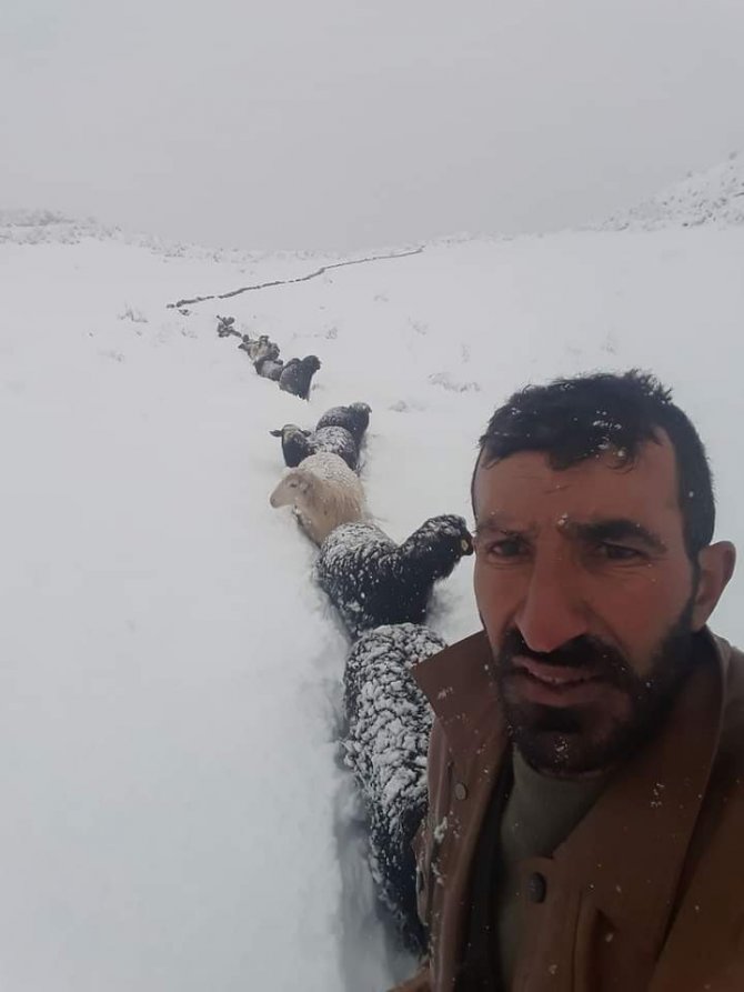 Kar Bastırınca Tek Sıra Halinde Metrelerce Sahiplerini Takip Ettiler