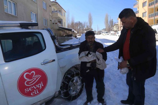 Aç Kalan Vaşak Kediyi Parçaladı