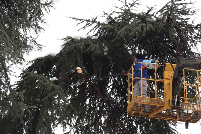 Kartal’da Budanan Ağaç Dalları İhtiyaç Sahiplerine Yakacak Oluyor