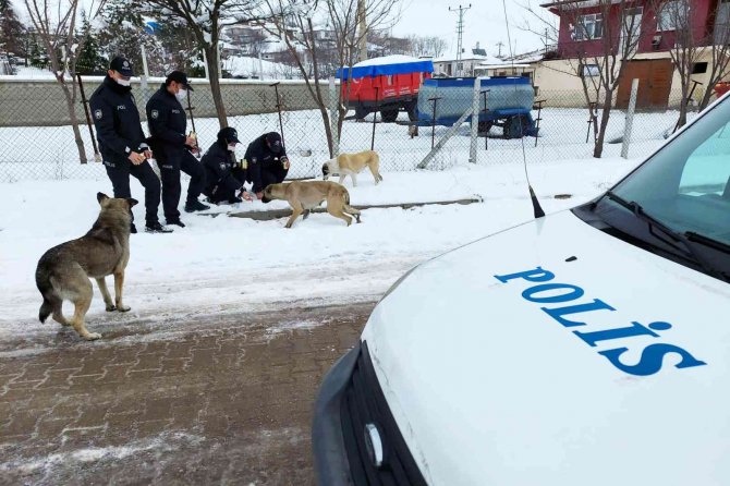 Sokak Hayvanlarına Polis Şefkati