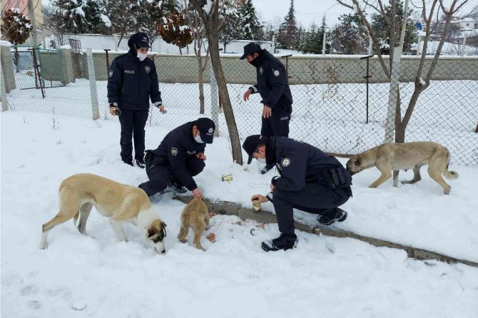 Sokak Hayvanlarına Polis Şefkati