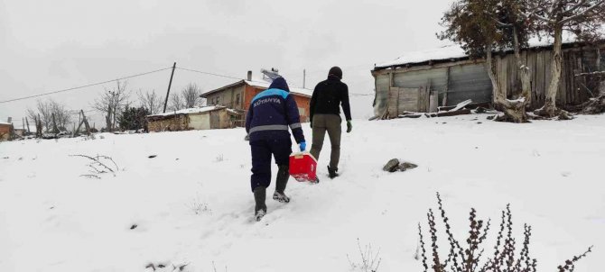 Kütahya’da Anaç Koyun Keçi Tespit Çalışmaları