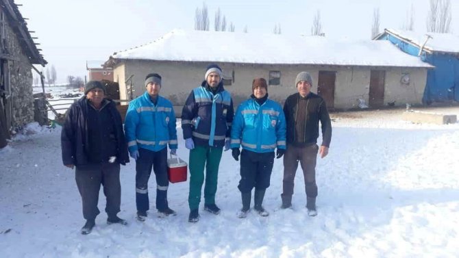 Kütahya’da Anaç Koyun Keçi Tespit Çalışmaları