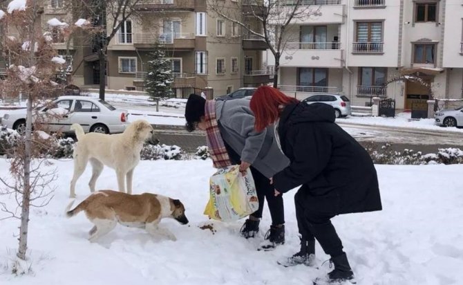 Nevü Öğrencileri Yeni Doğum Yapan Köpeğe Ve Yavrularına Sahip Çıktı