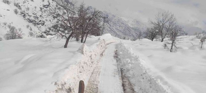 Şırnak’ta Kar Esareti: 19 Köy Ve 11 Mezra Yolu Ulaşıma Kapandı