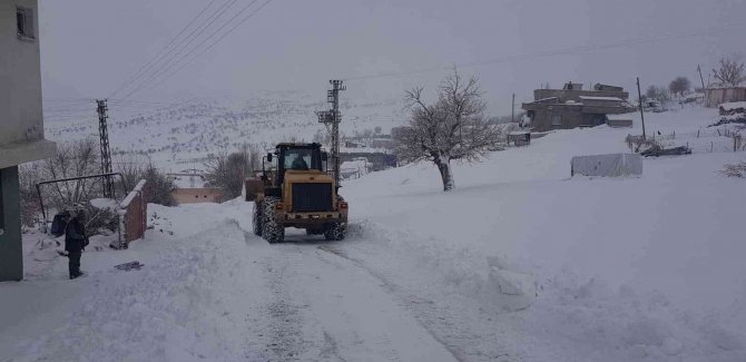 Şırnak’ta Kar Esareti: 19 Köy Ve 11 Mezra Yolu Ulaşıma Kapandı