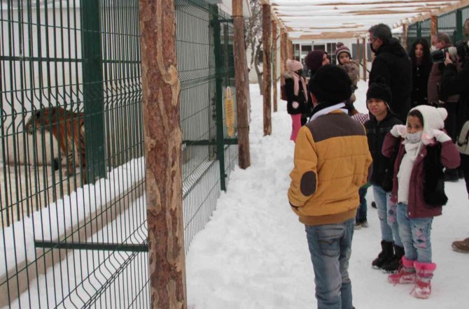 Savaş Mağduru Çocuklar Aslanlarla Doyasıya Eğlendi