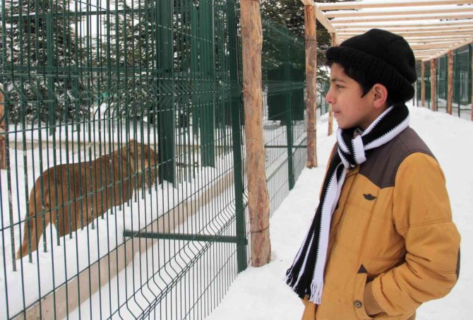 Savaş Mağduru Çocuklar Aslanlarla Doyasıya Eğlendi