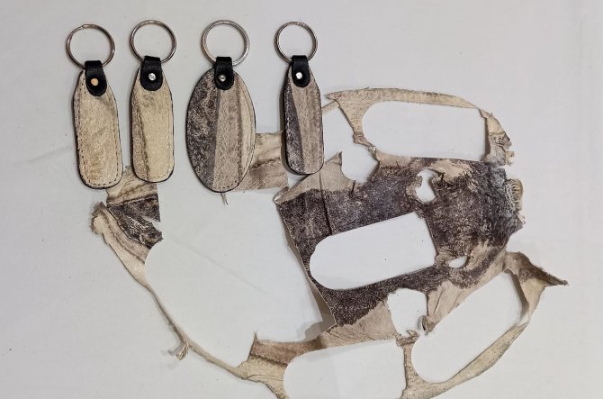 Balon Balığı, Kadın Çantasından Sonra Cüzdan Ve Anahtarlık Da Oldu