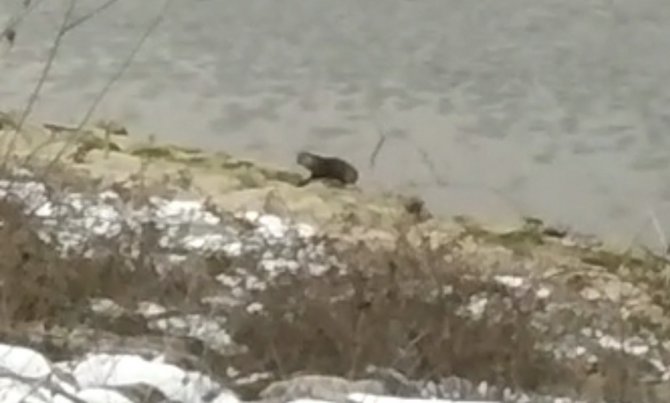 Bursa’da Barajda Su Samuru Görüldü