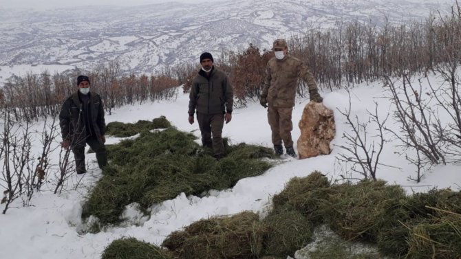Elazığ’da Yaban Hayvanları İçin Doğaya Yem Bırakıldı
