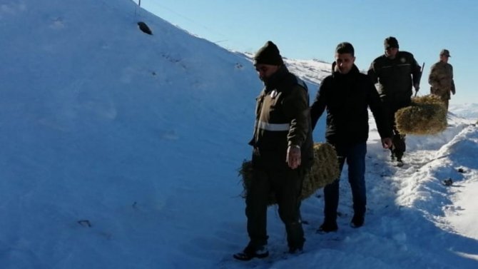 Elazığ’da Yaban Hayvanları İçin Doğaya Yem Bırakıldı